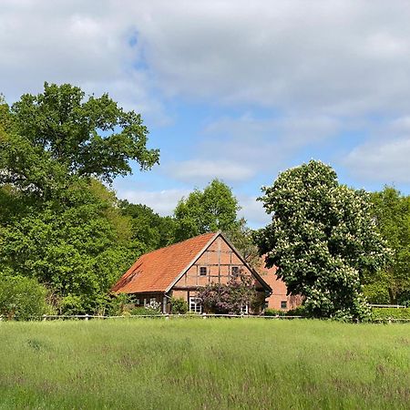 Ferienhaeuser Weitblick Gilten ภายนอก รูปภาพ