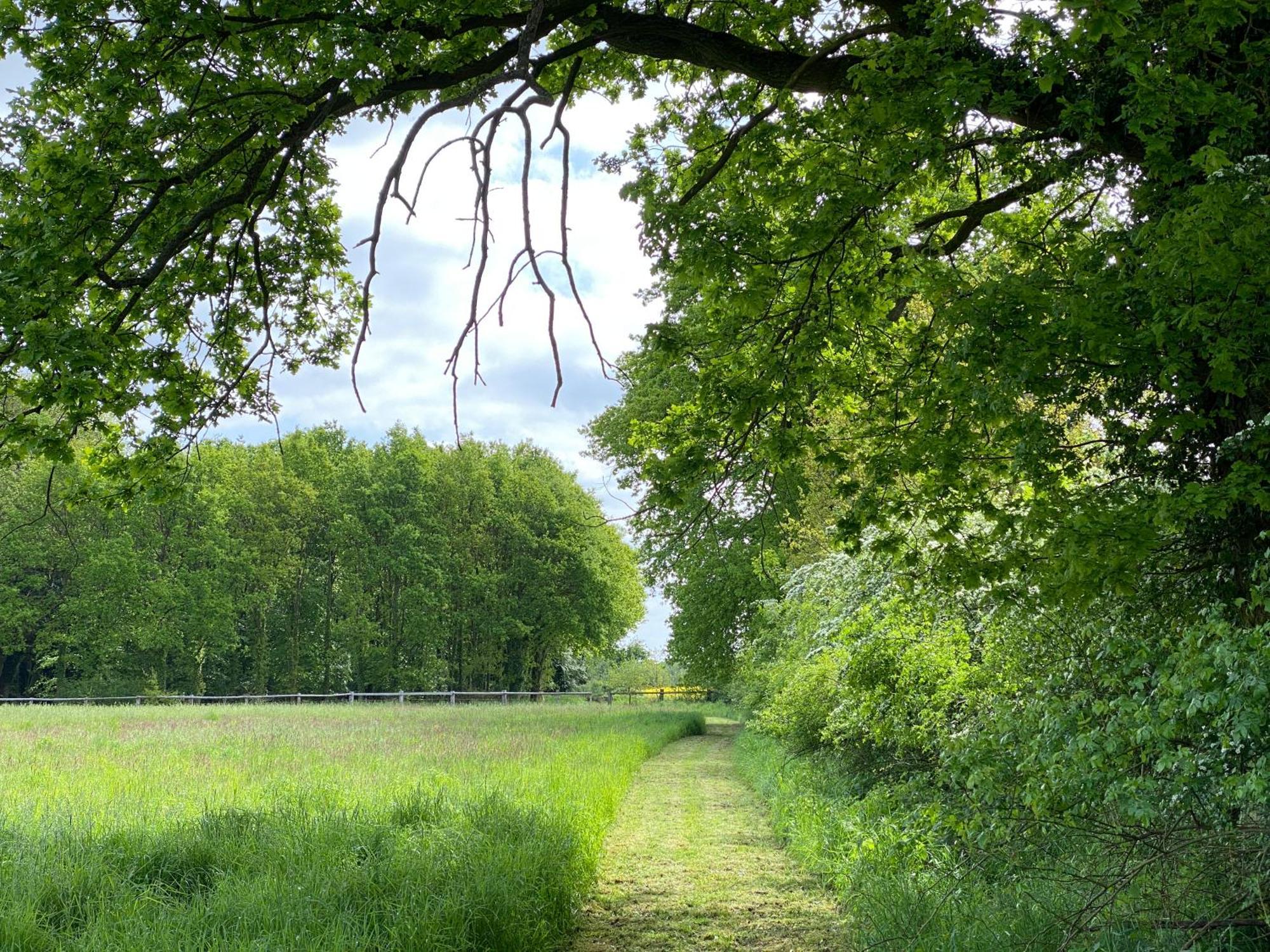 Ferienhaeuser Weitblick Gilten ภายนอก รูปภาพ